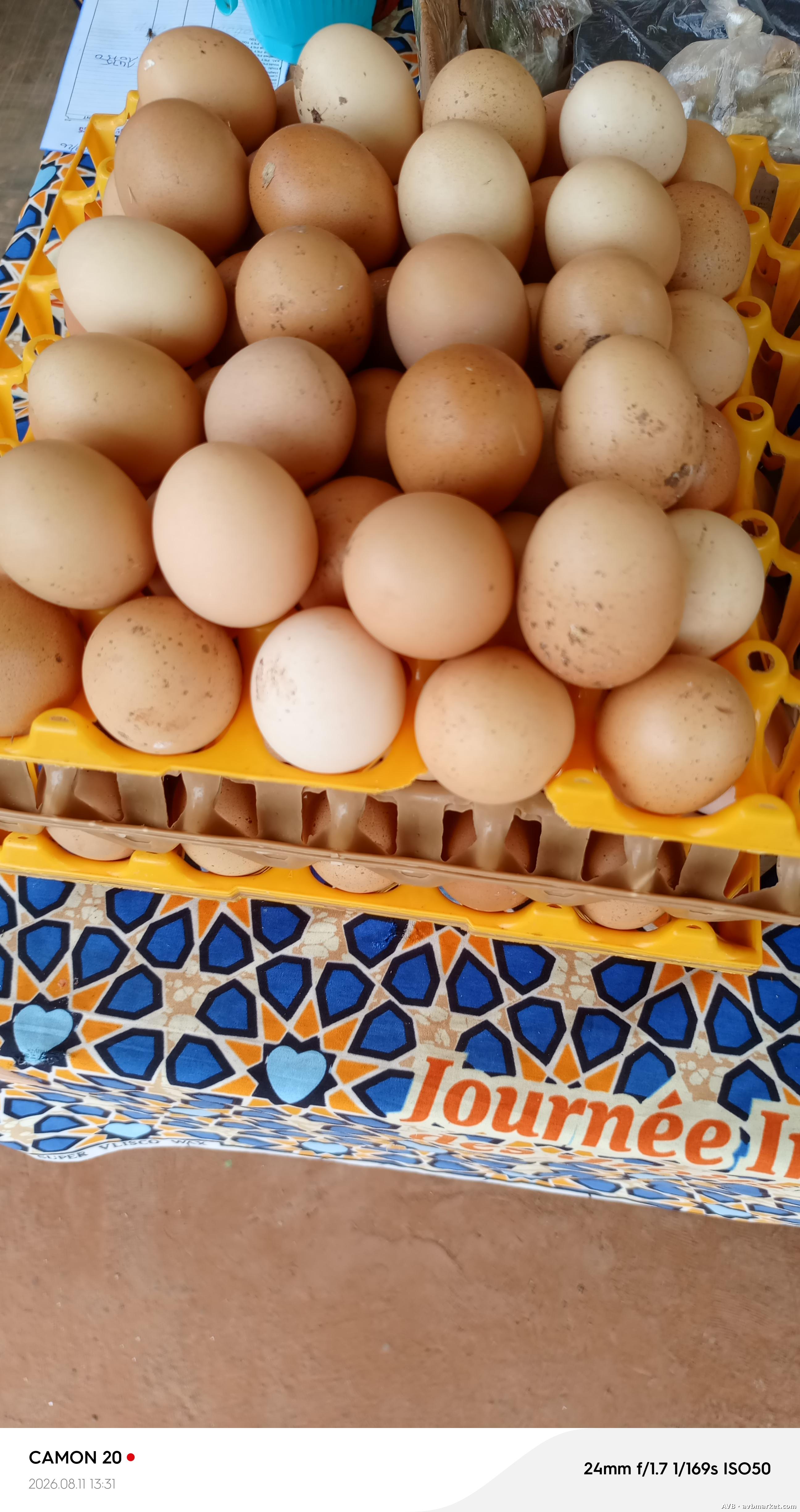 Besoin de plateaux d'oeufs de poule