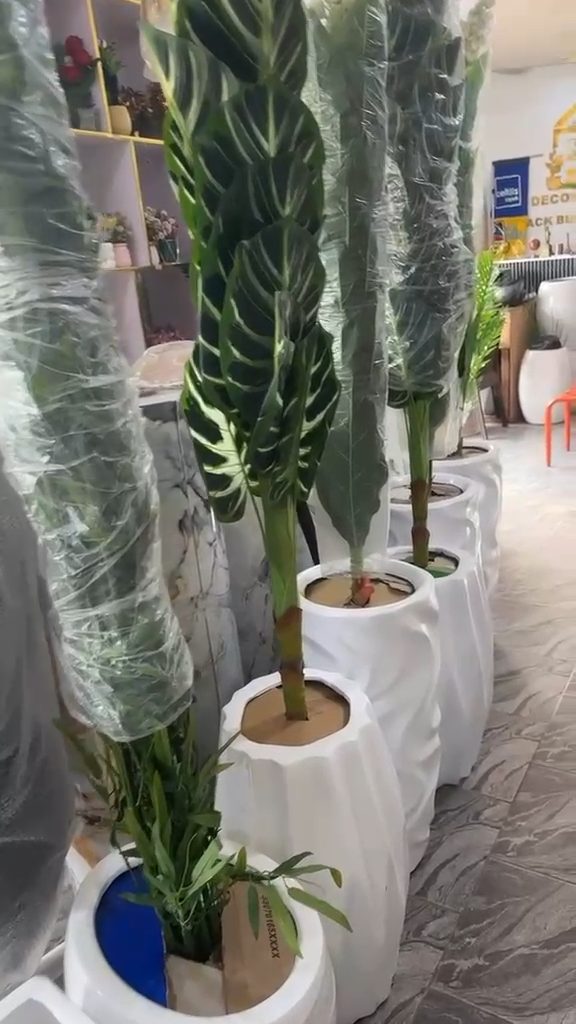 Vidéo — Grand pot de fleur